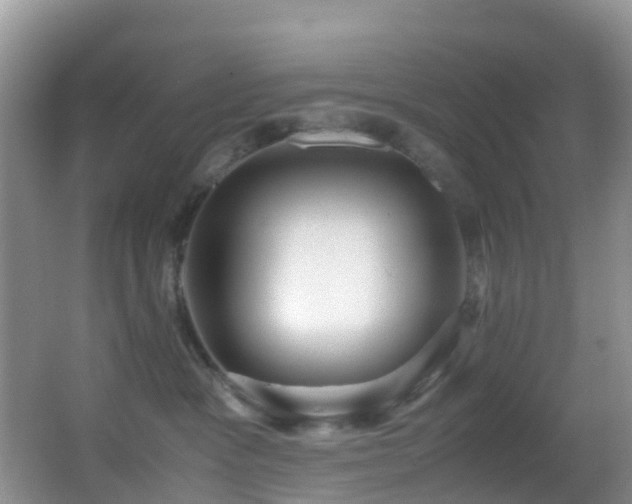 X0000062920333200601131458