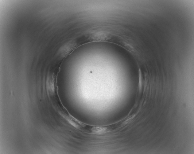 X0000062920334200601131458
