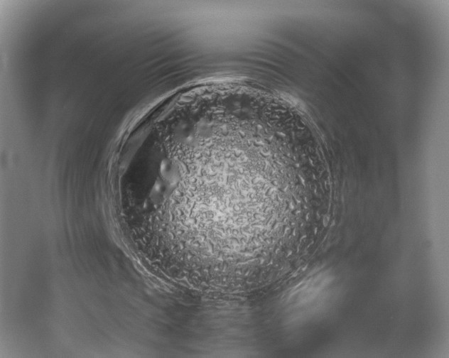 X0000062920337200601131457