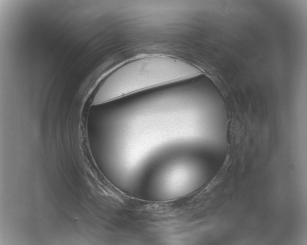 X0000062920338200601131457
