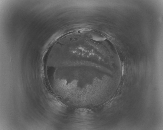 X0000062920339200601131458