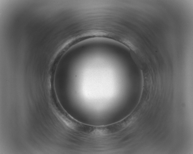 X0000062920350200601131458