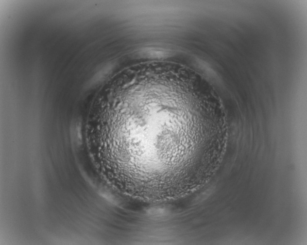 X0000062920358200601131458