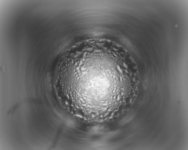 X0000062920366200601131458