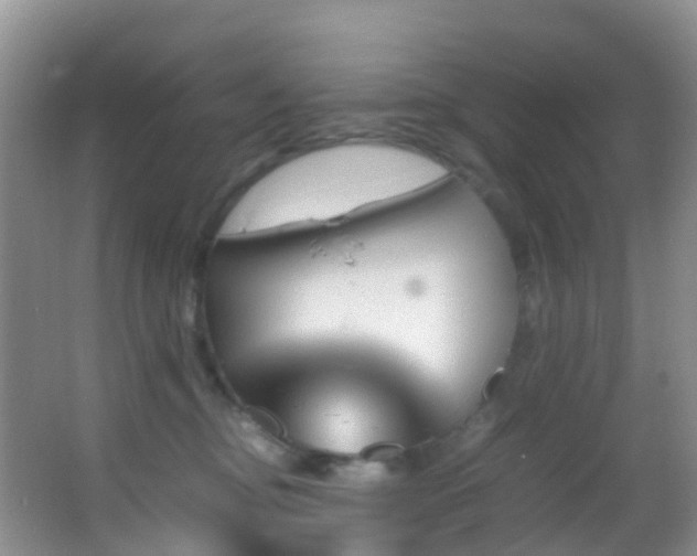 X0000062920374200601131458