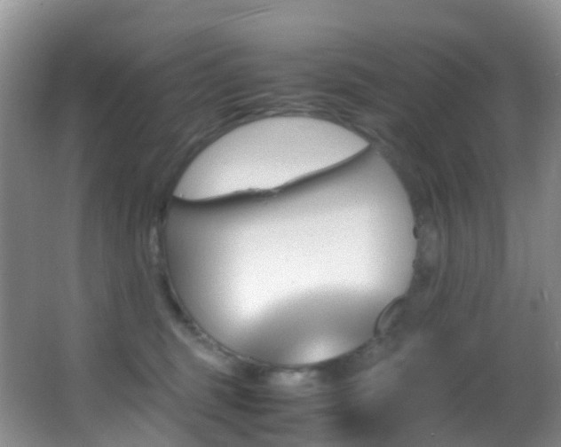 X0000062920375200601131458