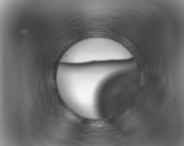 X0000062920377200601131458