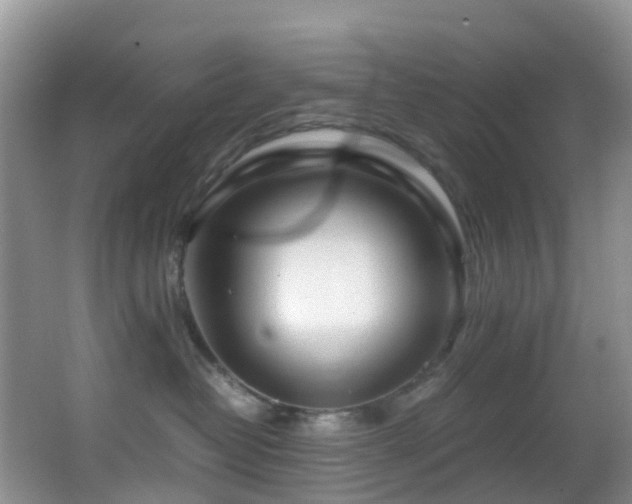X0000062920382200601131458