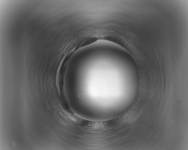 X0000062920384200601131458