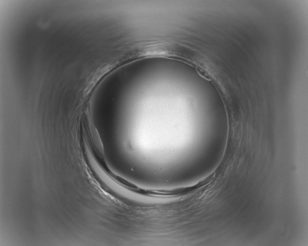 X0000062920385200601131457