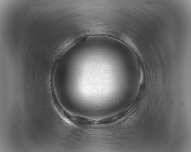 X0000062920389200601131457