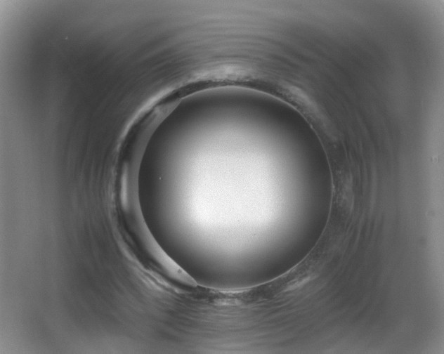 X0000062920392200601131457