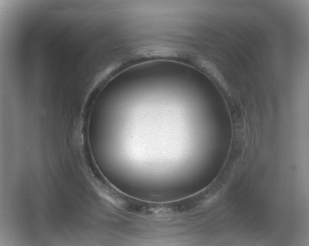 X0000062920395200601131457