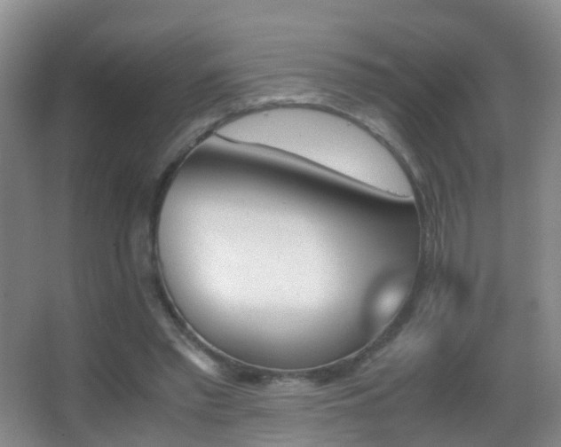 X0000062920397200601131457