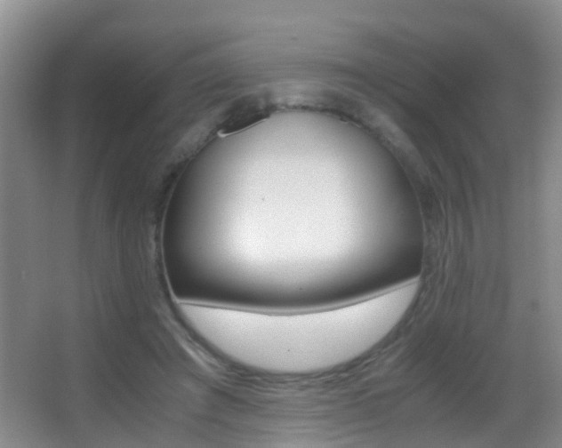 X0000062920401200601131457