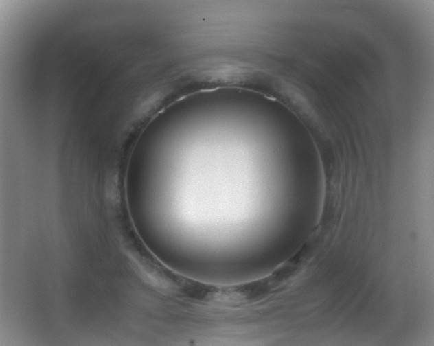 X0000062920403200601131457