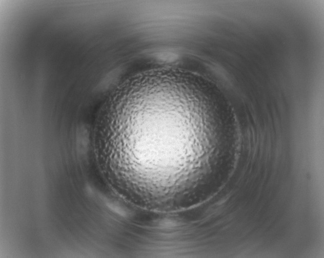 X0000062920412200601131457
