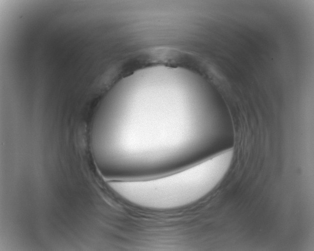 X0000062920413200601131457