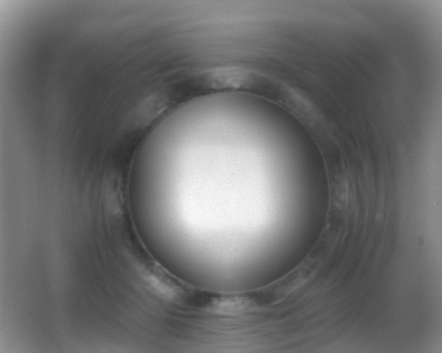 X0000062920414200601131457