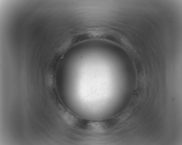 X0000062920417200601131457