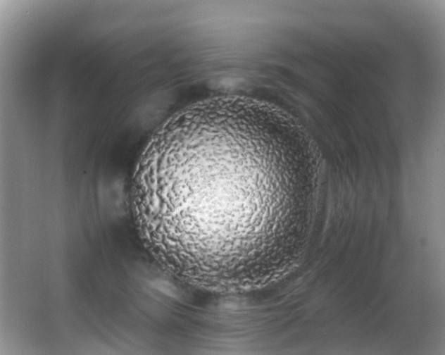 X0000062920420200601131457