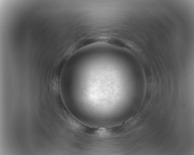 X0000062920425200601131457