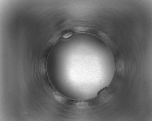 X0000062920426200601131457