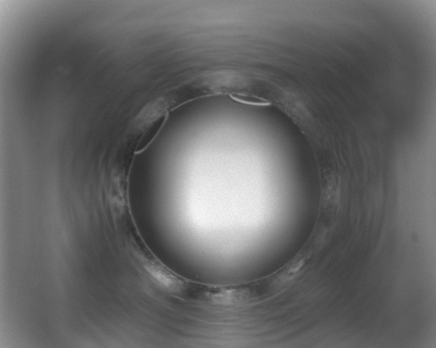 X0000062920430200601131457