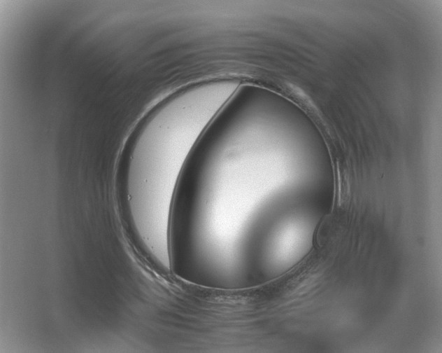 X0000062920435200601131456