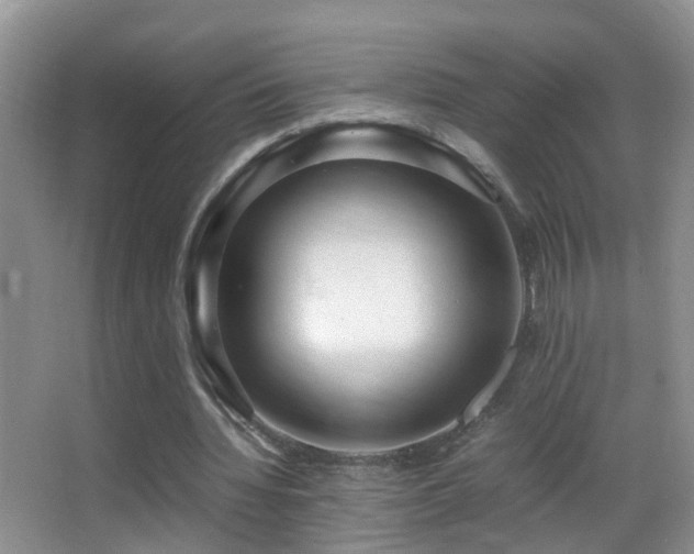 X0000062920436200601131456