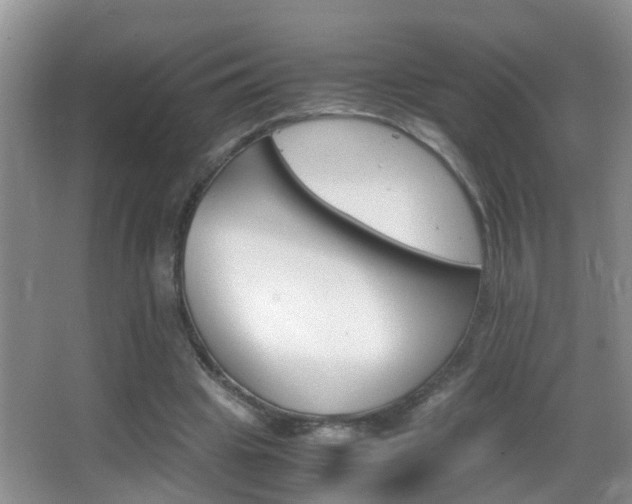 X0000062920441200601131456