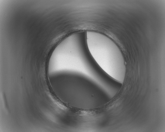 X0000062920442200601131456