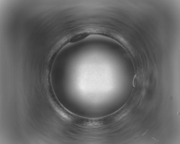 X0000062920445200601131456