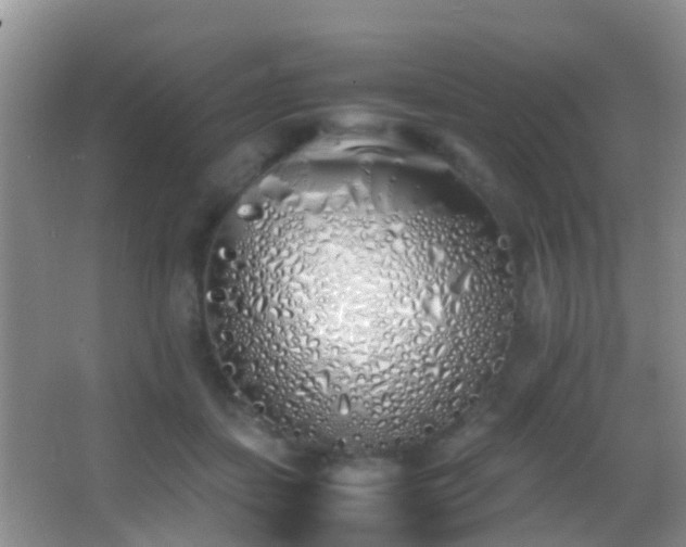 X0000062920459200601131456