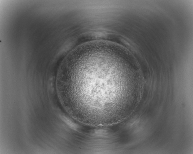 X0000062920462200601131456