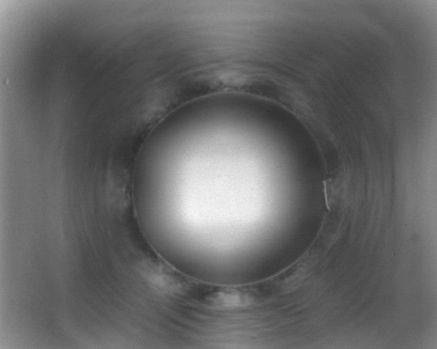 X0000062920464200601131456