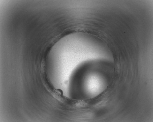 X0000062920468200601131456