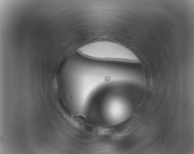 X0000062920472200601131457
