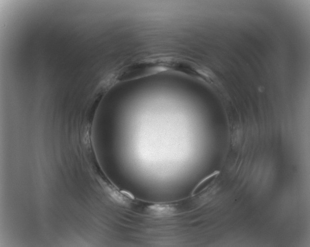 X0000062920477200601131457