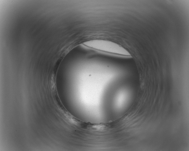 X0000062920478200601131457
