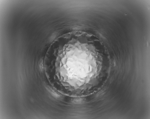 X0000062920479200601131457