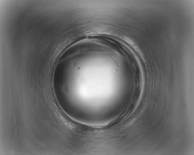 X0000062920481200601131456