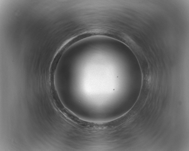 X0000062920484200601131456