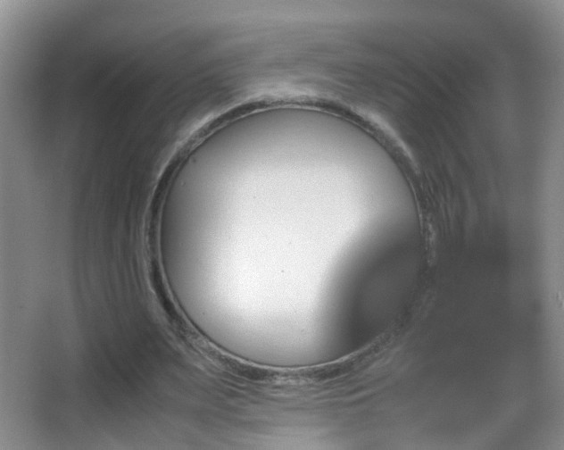 X0000062920487200601131456