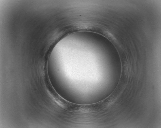 X0000062920490200601131456