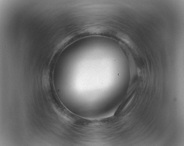 X0000062920492200601131456