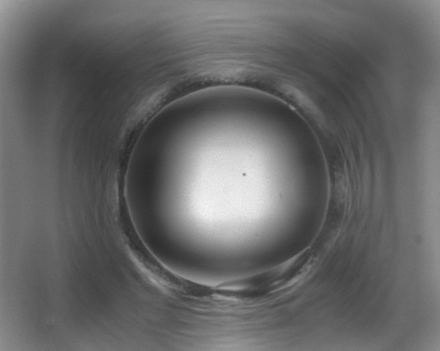 X0000062920493200601131456