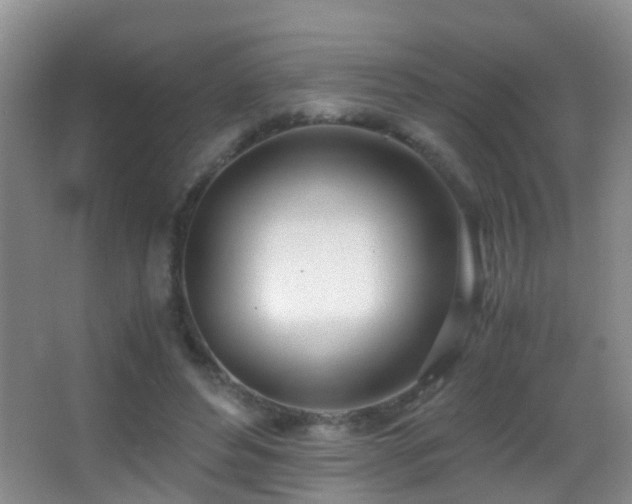 X0000062920496200601131456