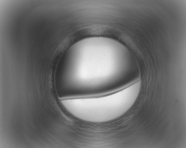 X0000062920497200601131456