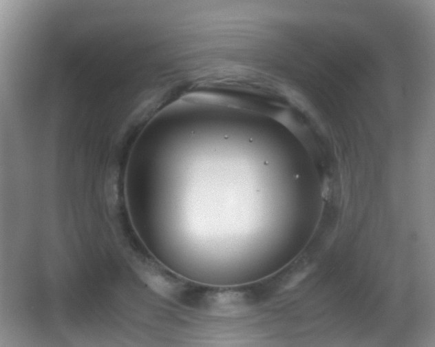 X0000062920501200601131456
